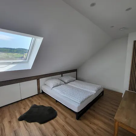 Apartment Moselluft2