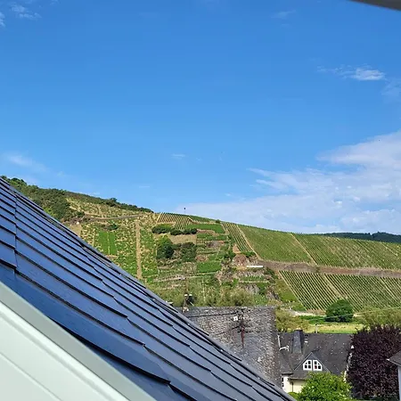 Moselluft2 Apartment