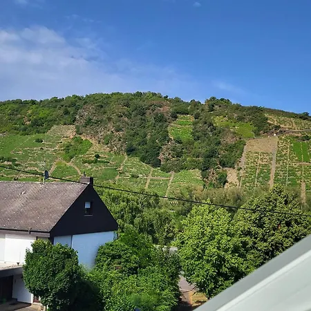 Apartment Moselluft2